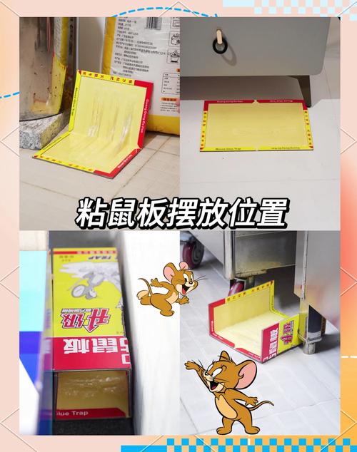 粘鼠板使用全攻略 選對(duì)位置與方法，輕松高效滅鼠